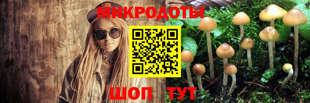 Псилоцибиновые грибы Cubensis  Вход с VPN  Всеволожск 